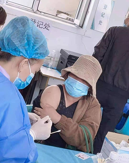 好博在线苗接种工作